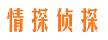 和政市侦探公司